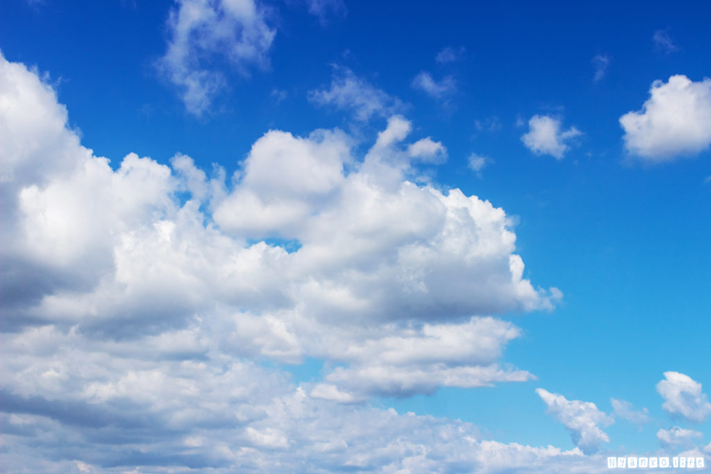 盛夏の雲に勢いのある青空